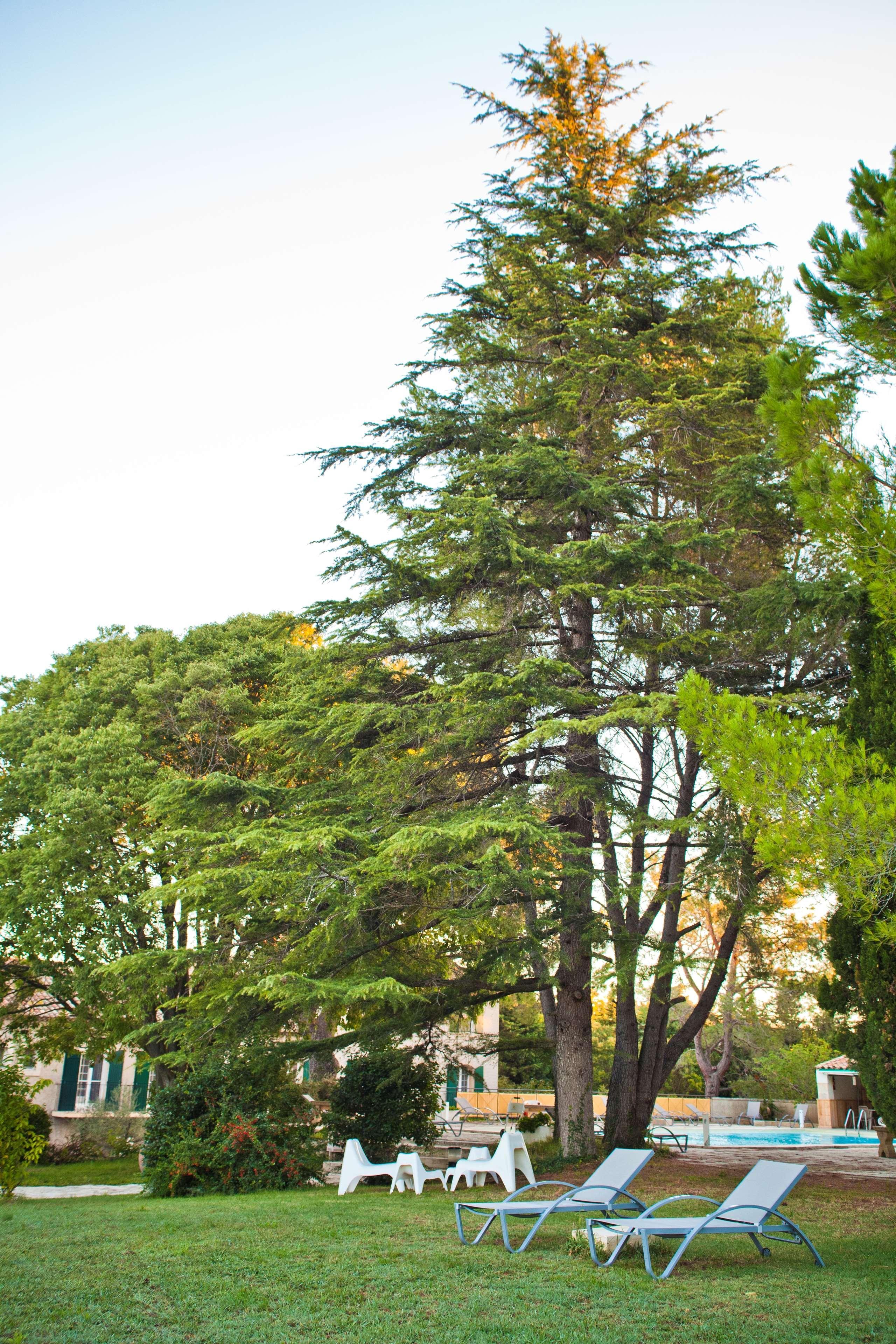 Best Western Le Val Majour Fontvieille Bagian luar foto